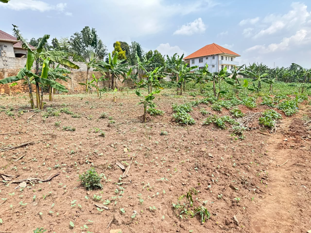 Prime 100ft x 100ft Residential Plot for Sale in Kira – Mulawa (Shimoni Estate)