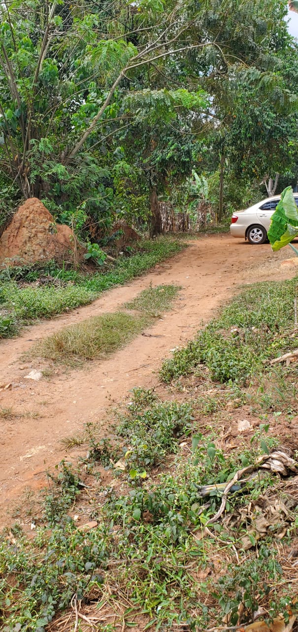 Prime 14-Decimal Residential Plot for Sale in Sonde – Kikuru