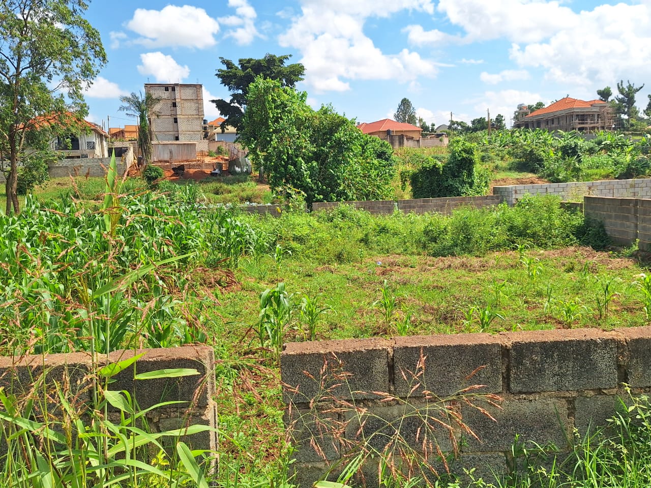 Prime 16-Decimal Plot for Sale in Kira ​Property