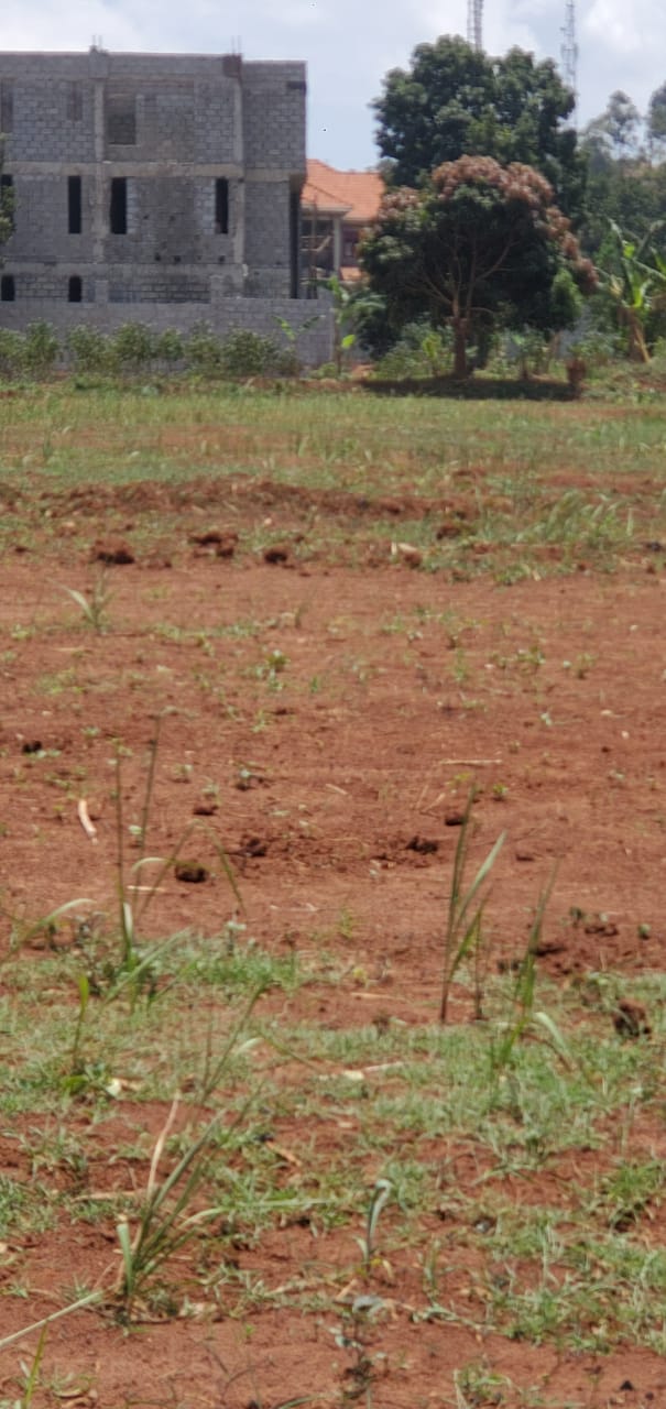 Prime 50ft x 100ft Estate Plots for Sale in Sonde Town