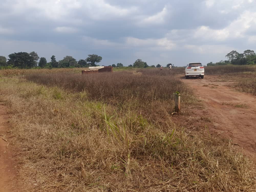 Prime Estate Plots for Sale in Busiika – Vumba