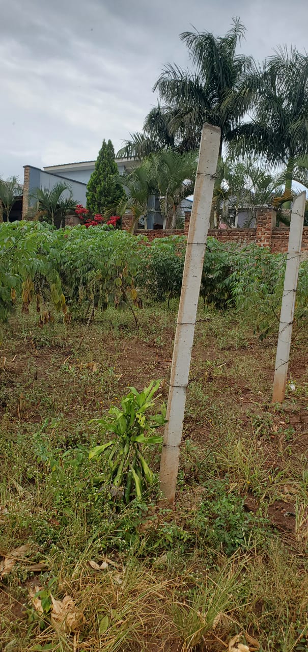 Prime Half Acre Plot for Sale in Gayaza-Nalya