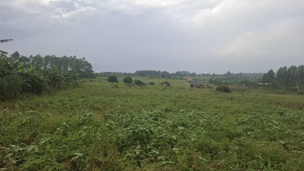 Prime Land in Vumba Off Gayaza Road