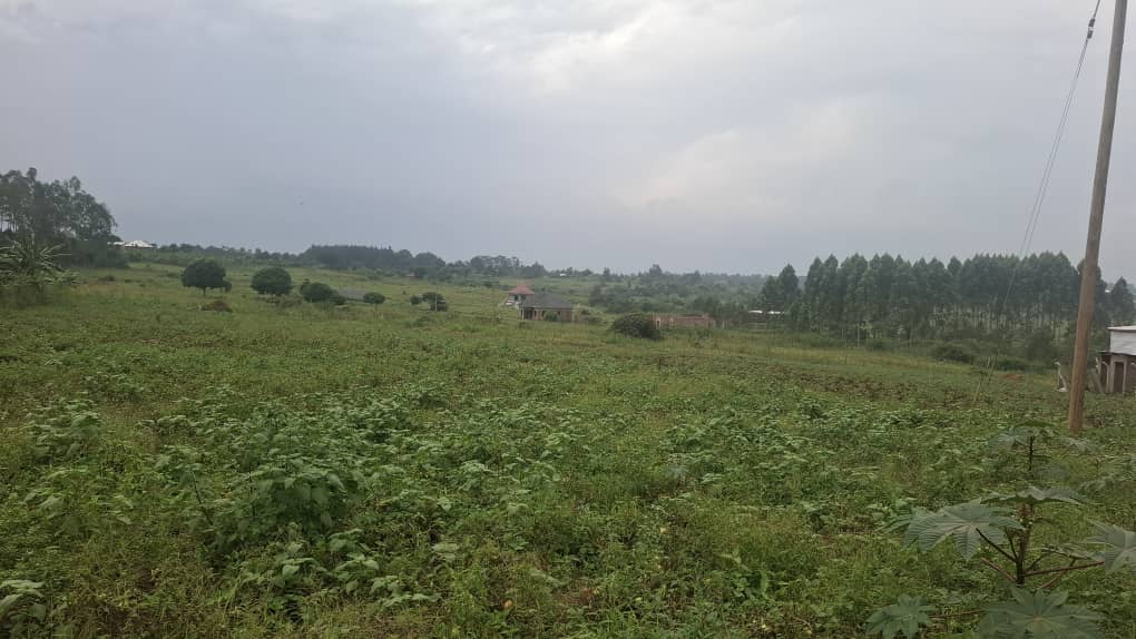 Prime Land in Vumba Off Gayaza Road