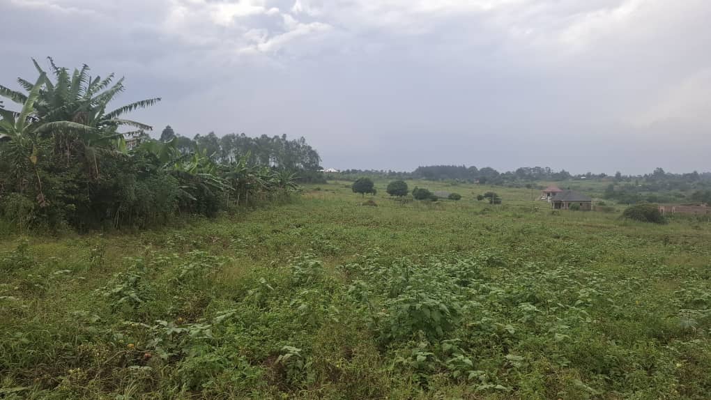 Prime Land in Vumba Off Gayaza Road