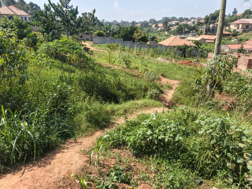 Prime Plot for Sale in Seeta Bajjo