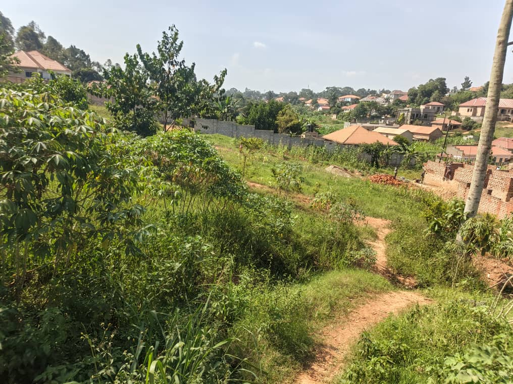 Prime Plot for Sale in Seeta Bajjo