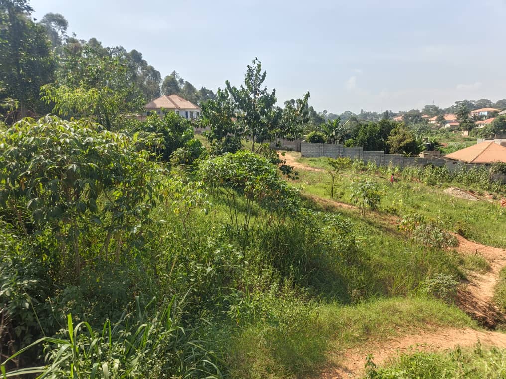 Prime Plot for Sale in Seeta Bajjo