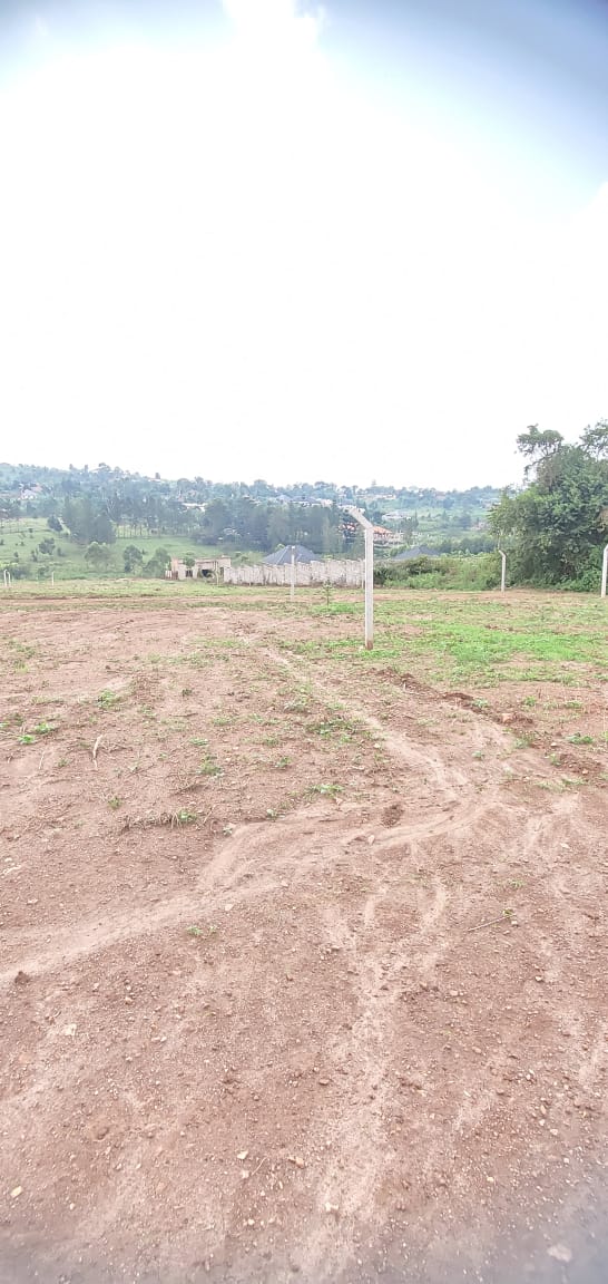 ​📍 PRIME RESIDENTIAL PLOTS FOR SALE IN BUSUKUMA! 📍