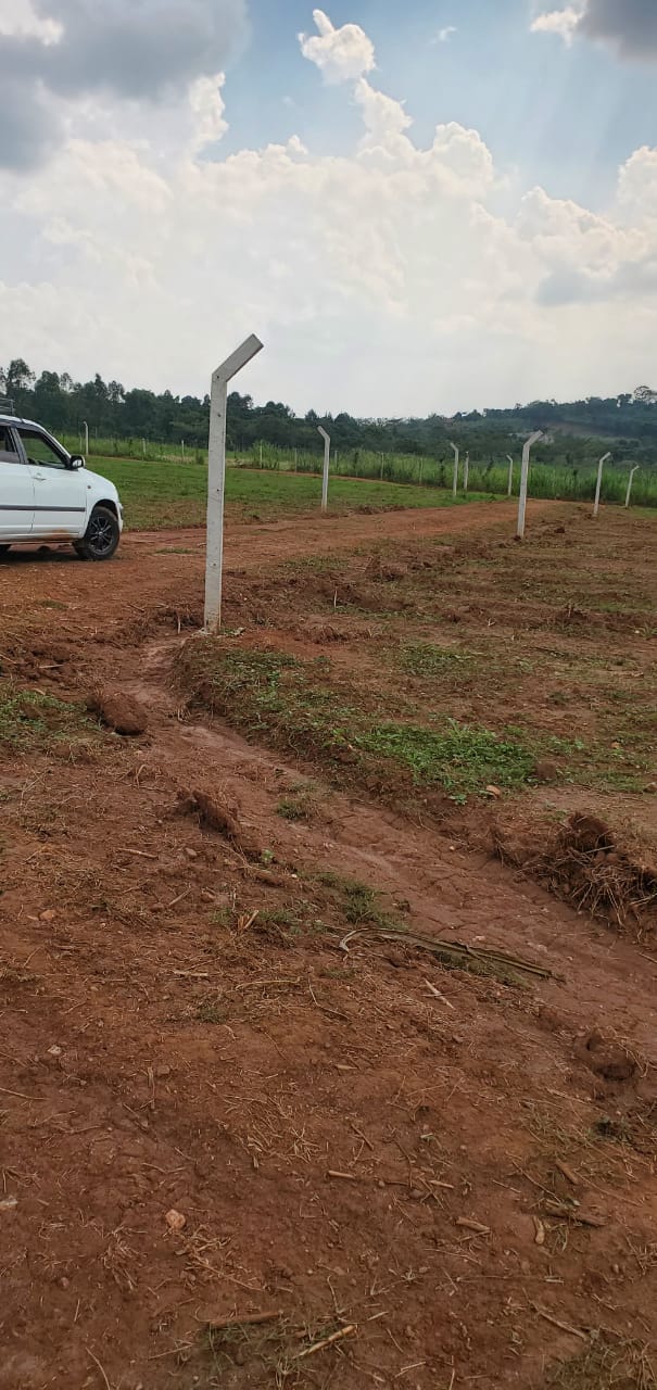 📍 PRIME RESIDENTIAL PLOTS FOR SALE IN BUSUKUMA! 📍
