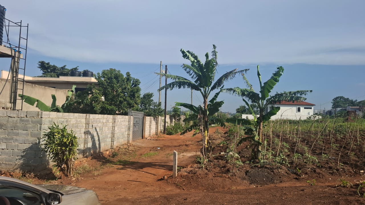 Prime Residential Plots for Sale in Kira – Kitukutwe (120M Each)