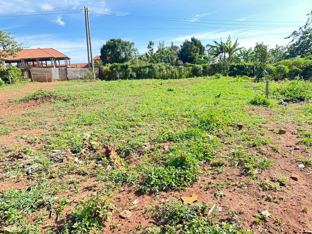 WEBSITE LISTING ​Prime 15-Decimal Plot for Sale in Kira – Urgent Distressed Sale!